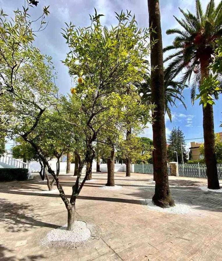 Апартаменти Nuevo Los Almendros 204 Complejo Turistico Кордова Екстер'єр фото