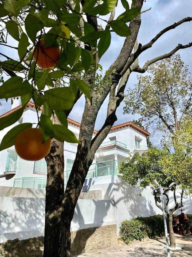 Апартаменти Nuevo Los Almendros 204 Complejo Turistico Кордова Екстер'єр фото
